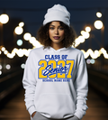 Class of 2027 Senior School Spirit Graphic T-Shirt | Custom Graduation Year Shirt
